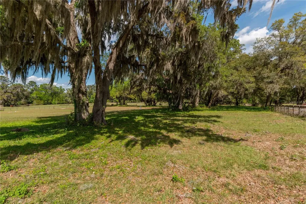 6124 NW 160th Street Reddick FL 32686