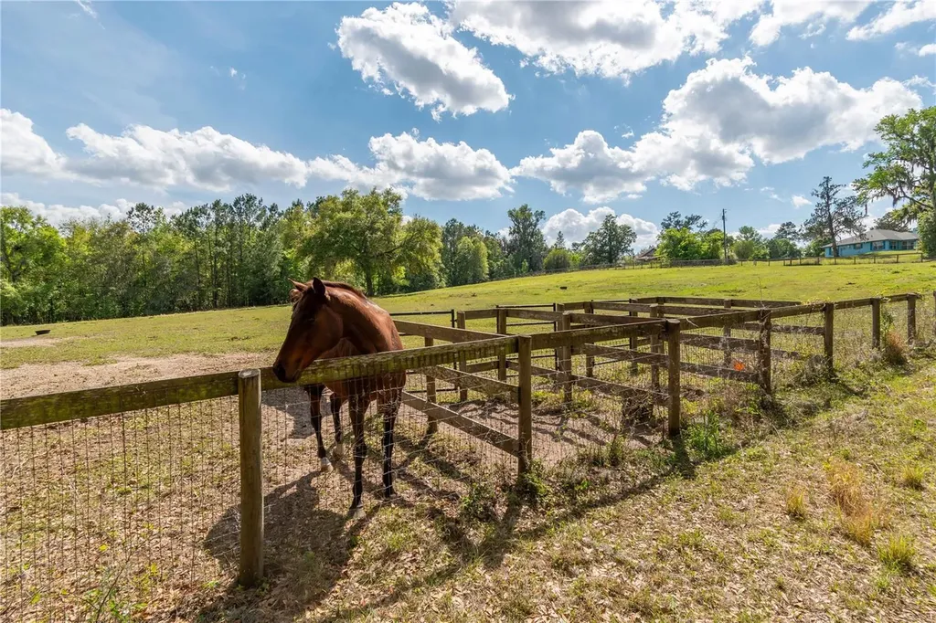 6124 NW 160th Street Reddick FL 32686