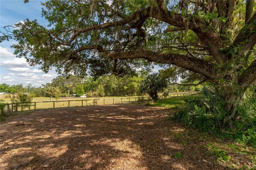 6124 NW 160th Street Reddick FL 32686