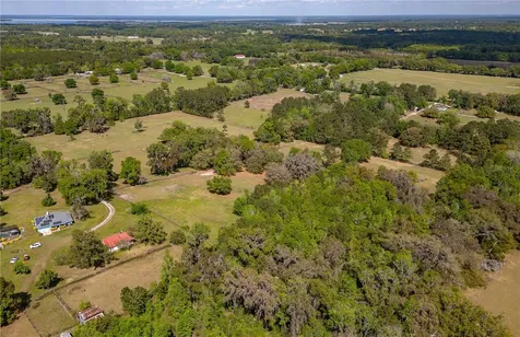 6124 NW 160th Street Reddick FL 32686