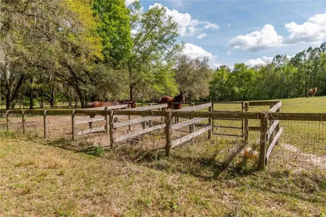 6124 NW 160th Street Reddick FL 32686