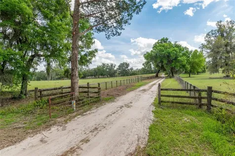 6124 NW 160th Street Reddick FL 32686