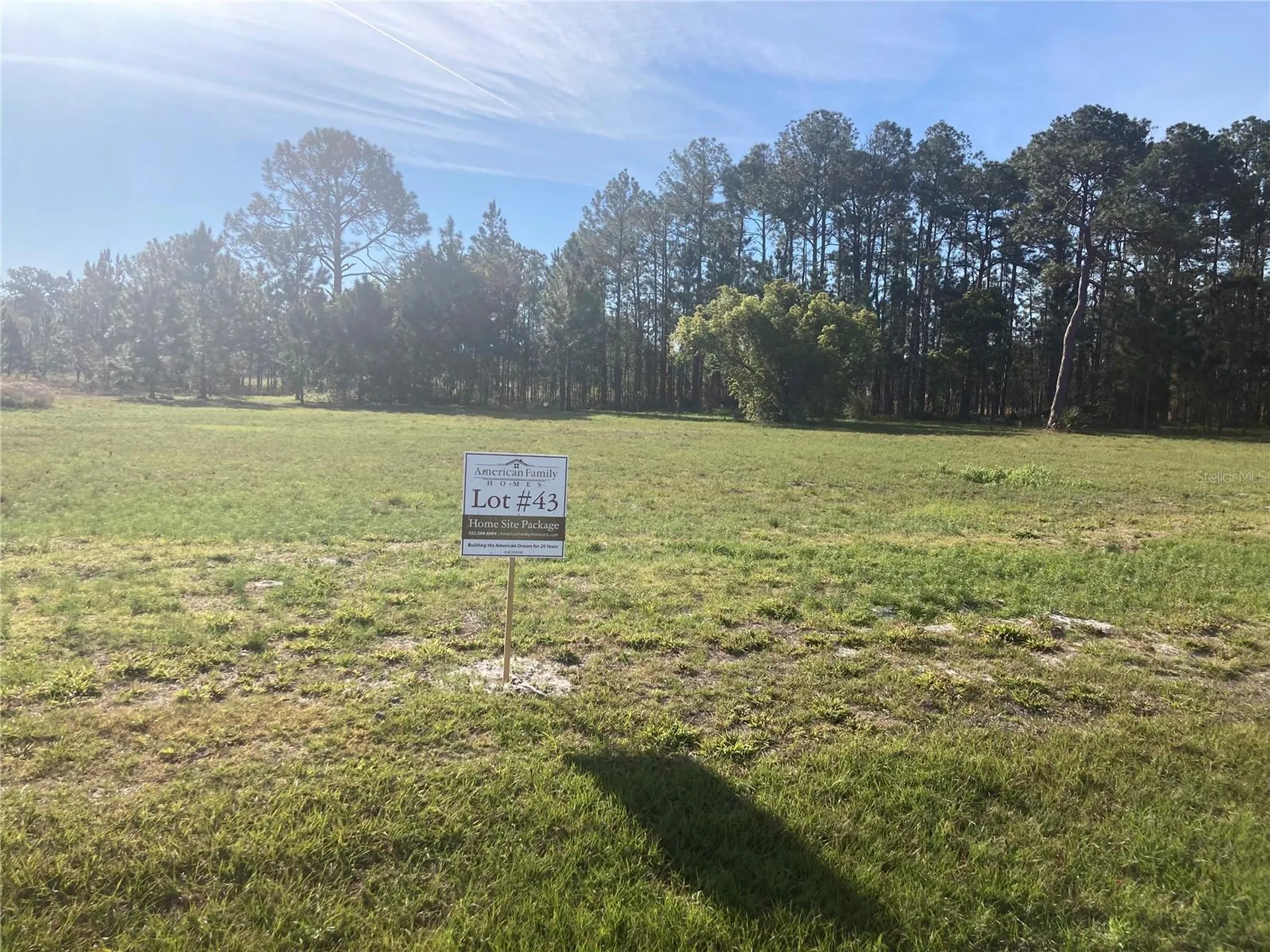 38518 Wooded Meadow Drive Umatilla FL 32784