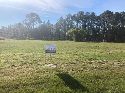 38518 Wooded Meadow Drive Umatilla FL 32784