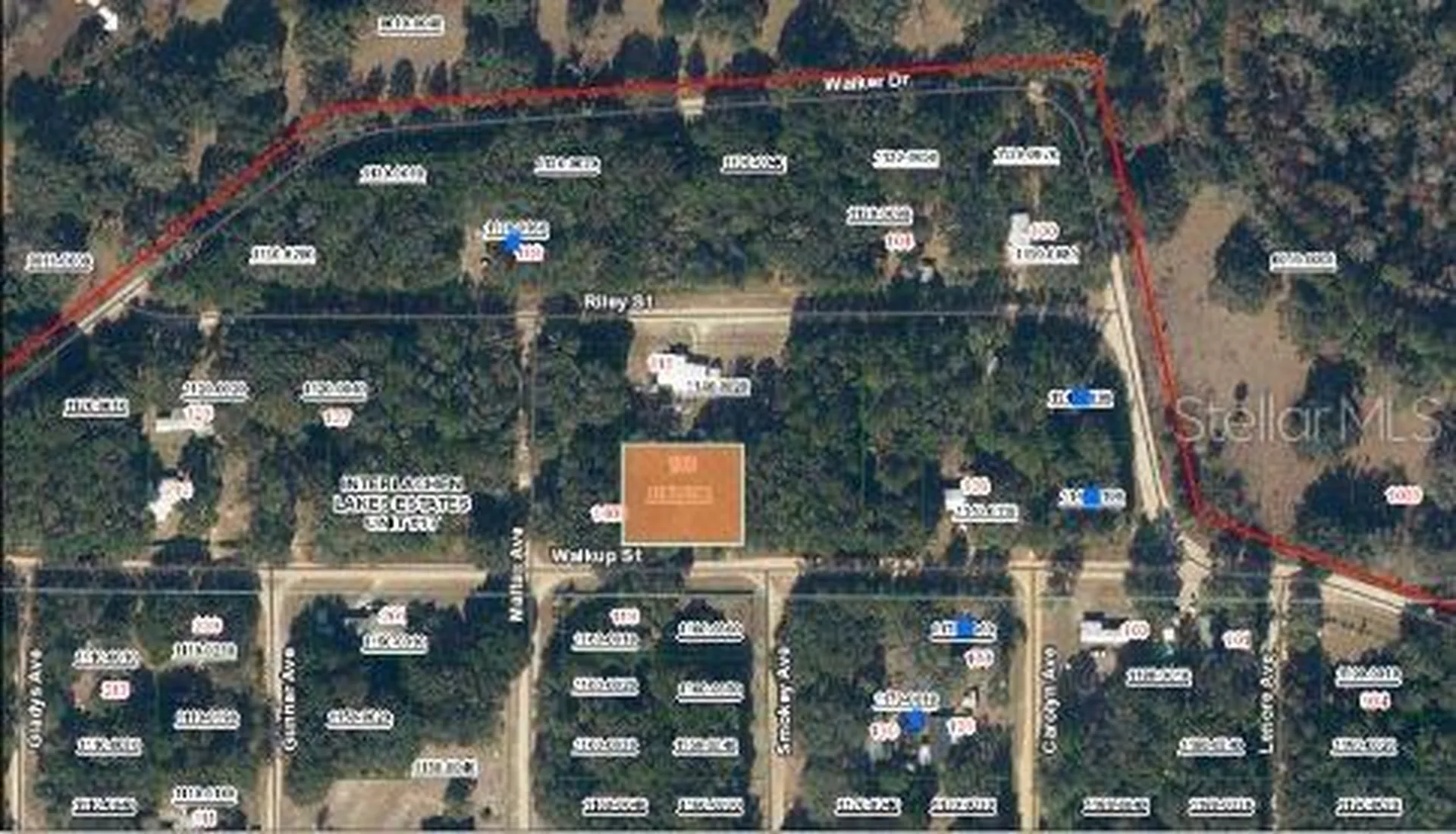116 Walkup Street Interlachen FL 32148