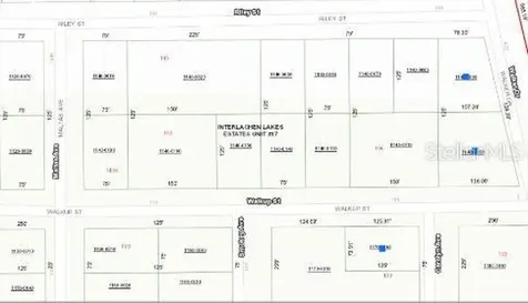 116 Walkup Street Interlachen FL 32148