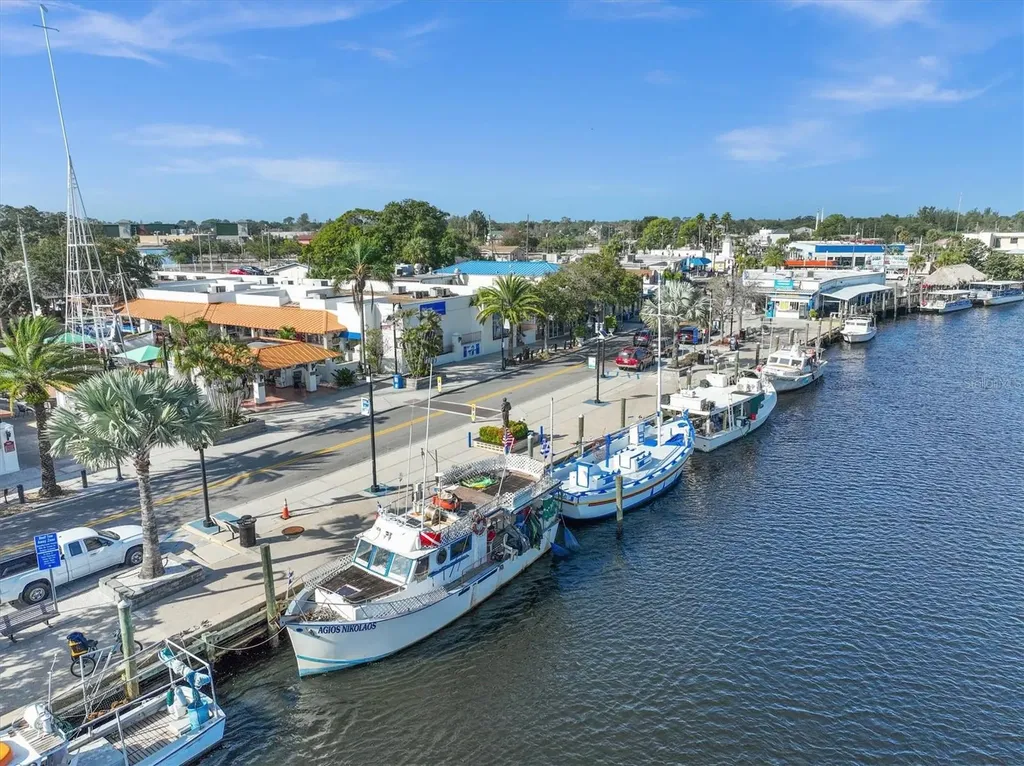 2050 N Pointe Alexis Drive Tarpon Springs FL 34689