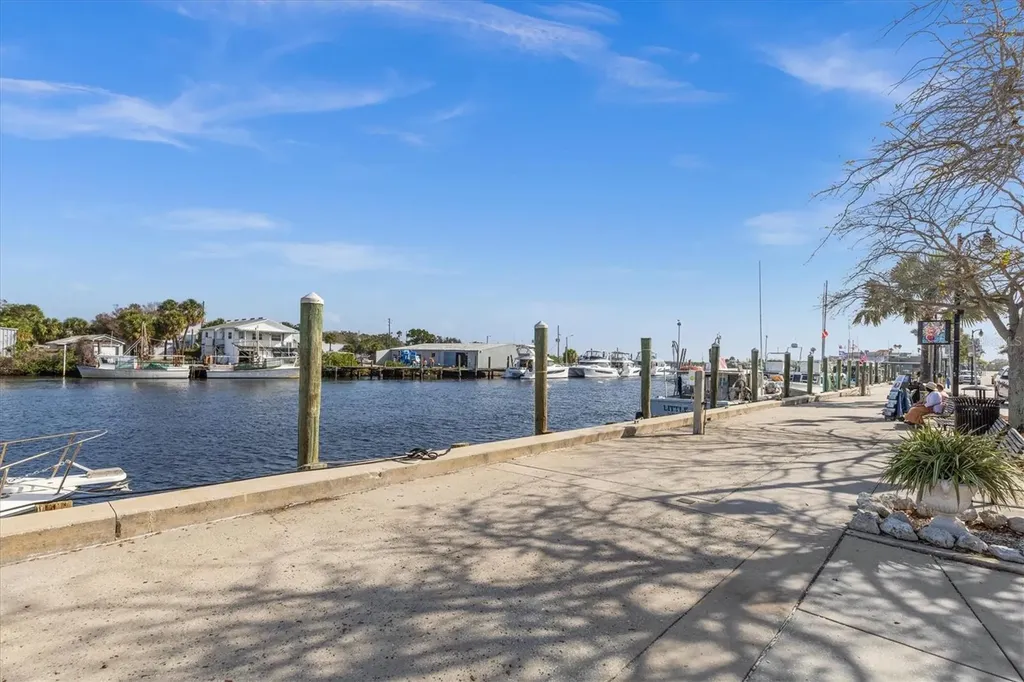 2050 N Pointe Alexis Drive Tarpon Springs FL 34689