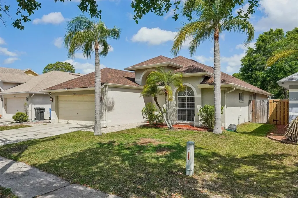 10234 Oasis Palm Drive Tampa FL 33615