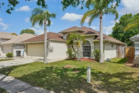 10234 Oasis Palm Drive Tampa FL 33615