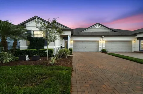 16822 Balance Cove Land O Lakes FL 34638