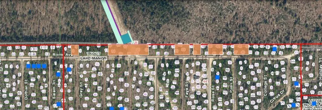 228 Rome Avenue Interlachen FL 32148