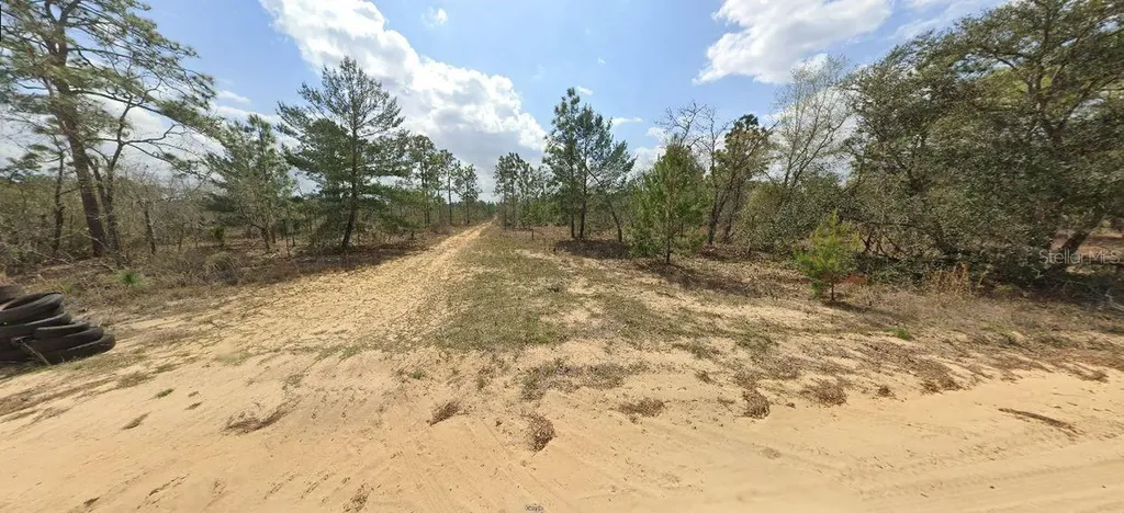 228 Rome Avenue Interlachen FL 32148