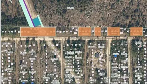 228 Rome Avenue Interlachen FL 32148