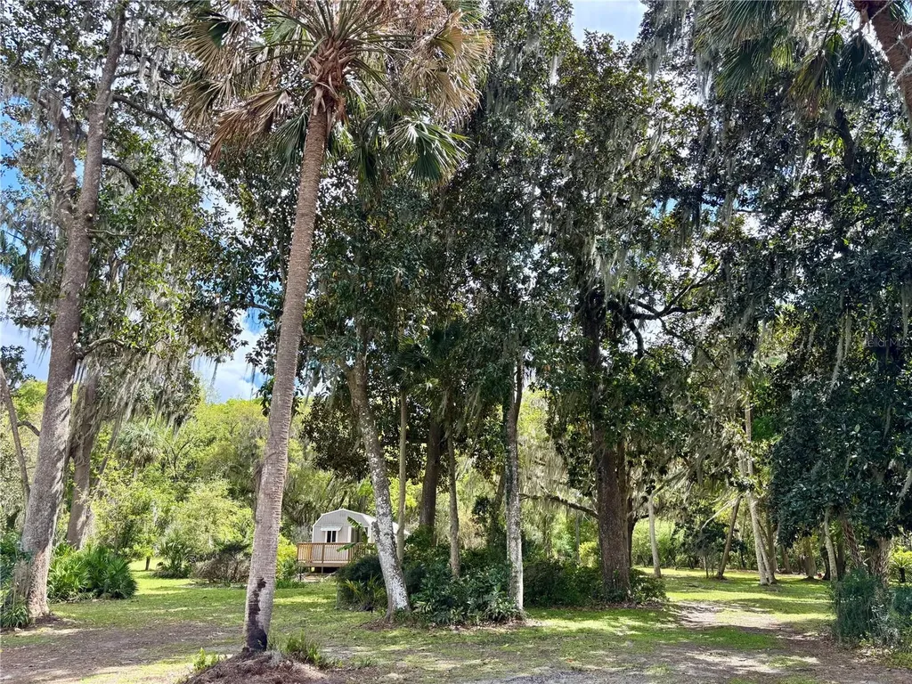 216 Little Orange Lake Drive Hawthorne FL 32640