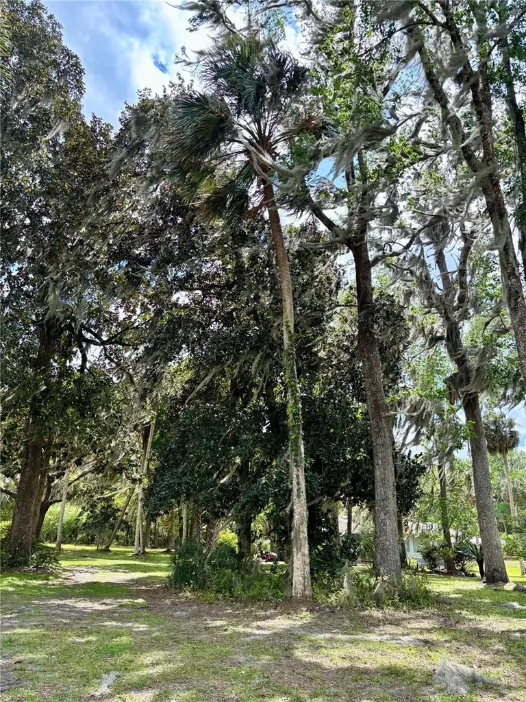 216 Little Orange Lake Drive Hawthorne FL 32640