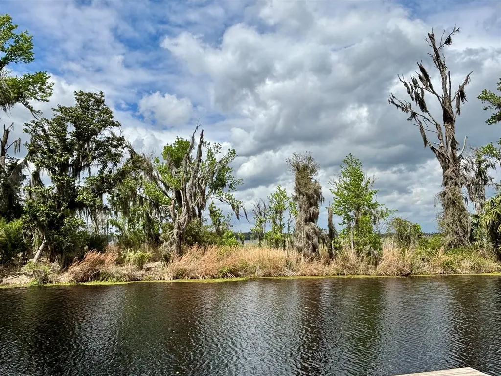 216 Little Orange Lake Drive Hawthorne FL 32640