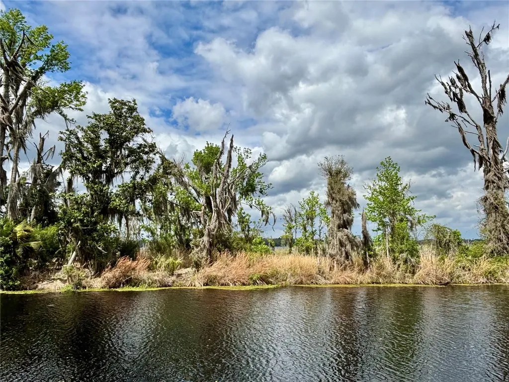 216 Little Orange Lake Drive Hawthorne FL 32640