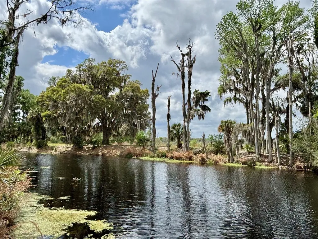 216 Little Orange Lake Drive Hawthorne FL 32640