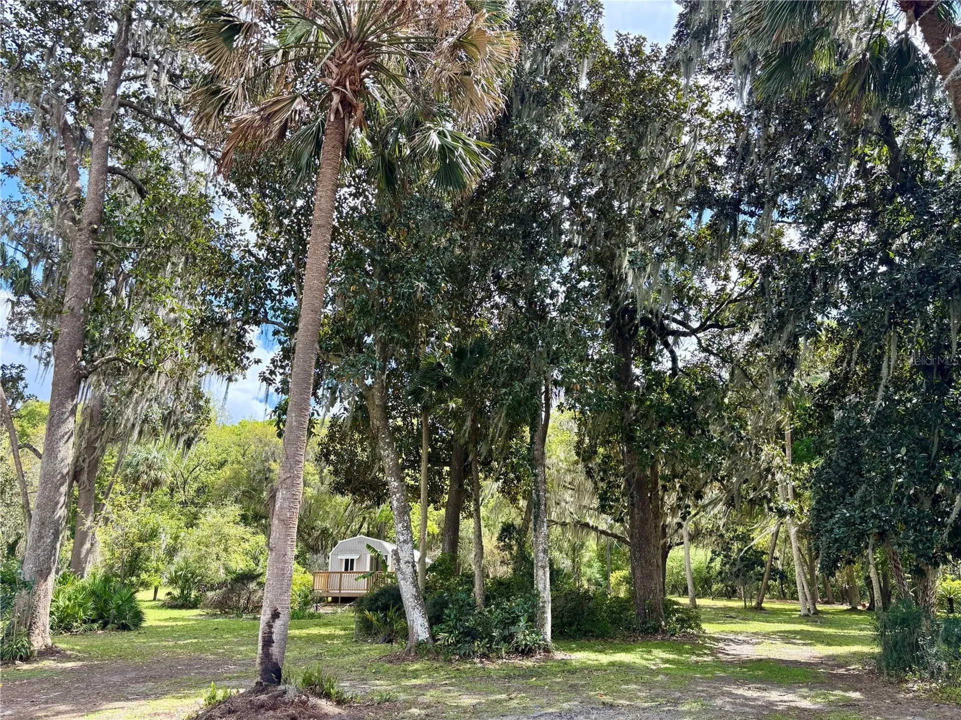 216 Little Orange Lake Drive Hawthorne FL 32640