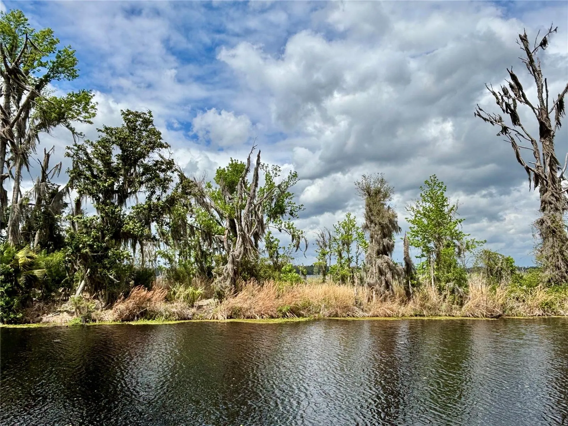 216 Little Orange Lake Drive Hawthorne FL 32640