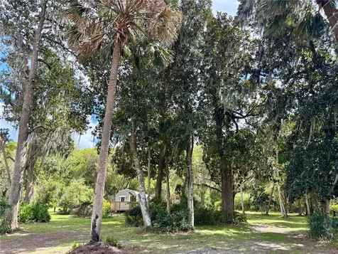216 Little Orange Lake Drive Hawthorne FL 32640