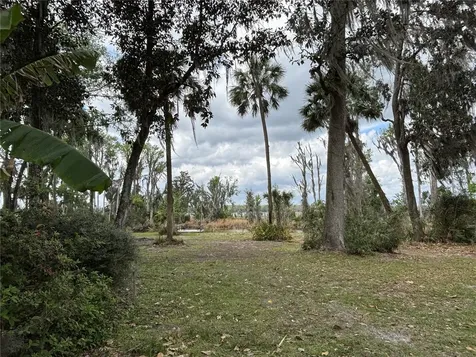216 Little Orange Lake Drive Hawthorne FL 32640
