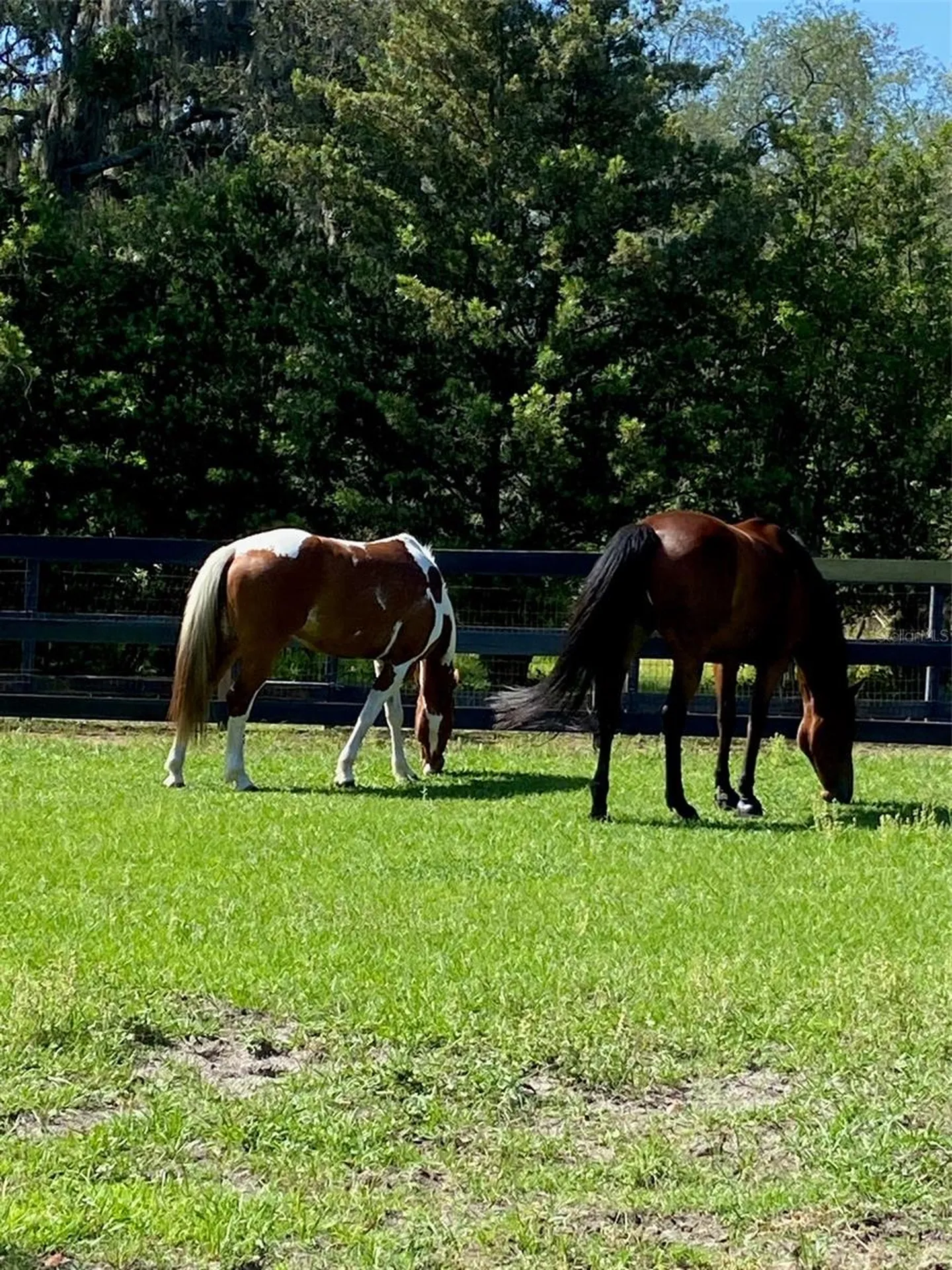 16315 Mcglamery Road Odessa FL 33556
