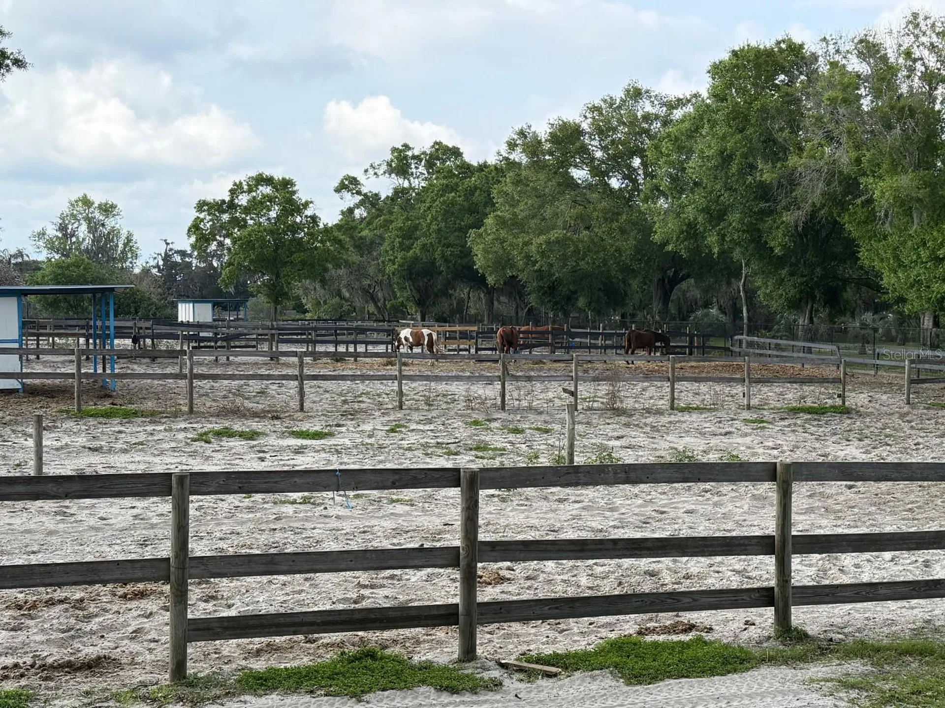16315 Mcglamery Road Odessa FL 33556