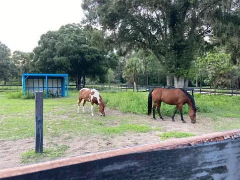 16315 Mcglamery Road Odessa FL 33556