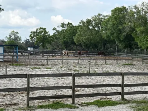 16315 Mcglamery Road Odessa FL 33556