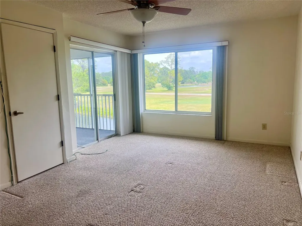3629 Indigo Pond Drive Palm Harbor FL 34685
