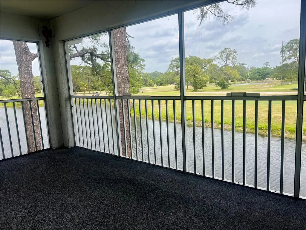 3629 Indigo Pond Drive Palm Harbor FL 34685