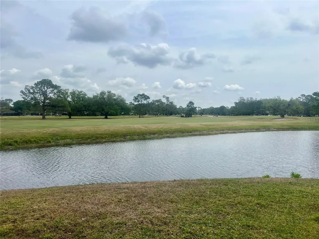 3629 Indigo Pond Drive Palm Harbor FL 34685