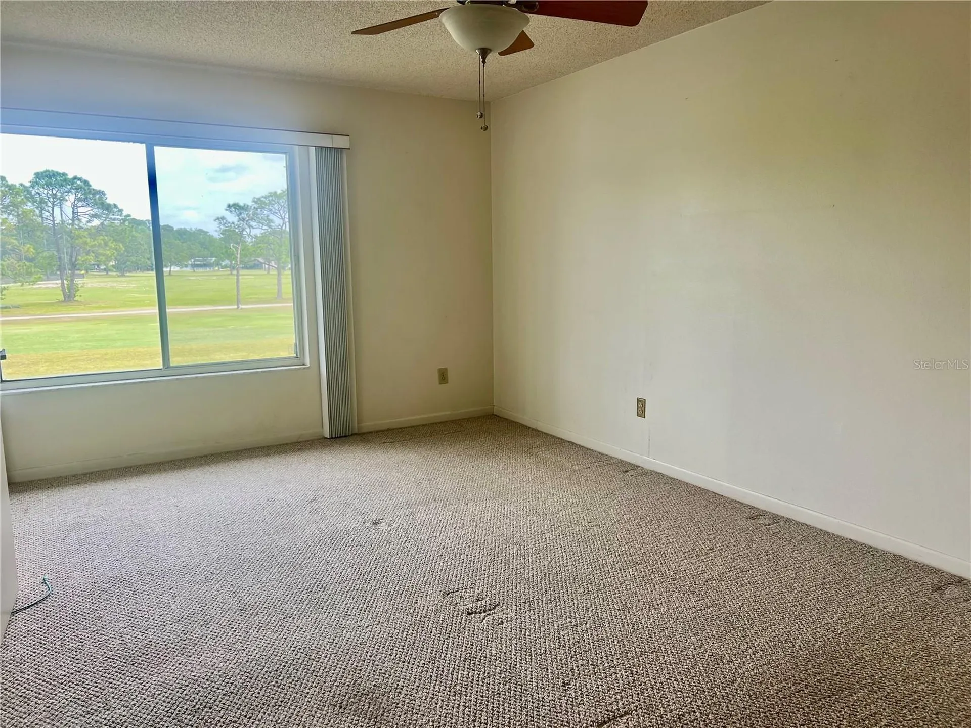 3629 Indigo Pond Drive Palm Harbor FL 34685