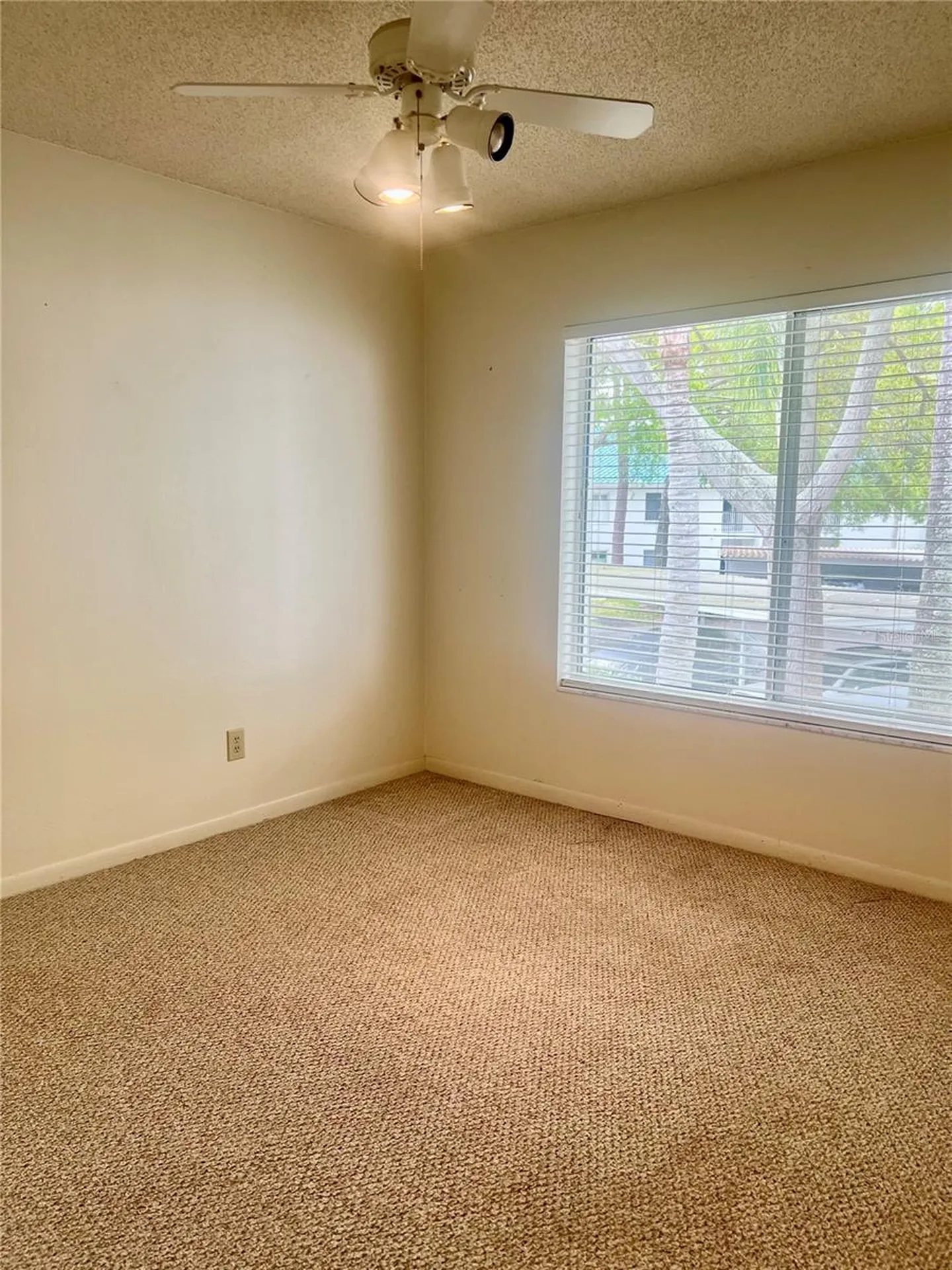 3629 Indigo Pond Drive Palm Harbor FL 34685