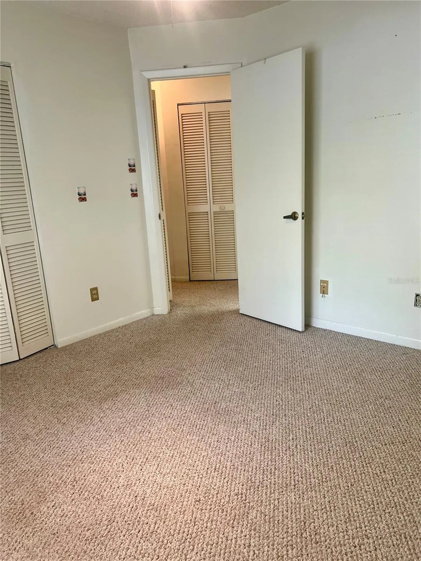 3629 Indigo Pond Drive Palm Harbor FL 34685