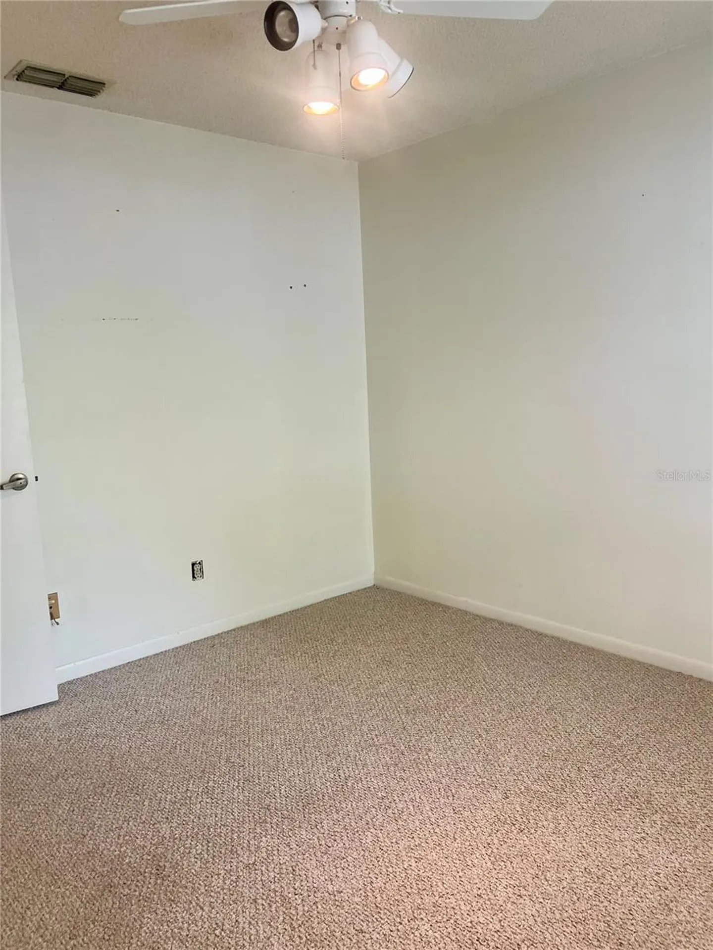 3629 Indigo Pond Drive Palm Harbor FL 34685