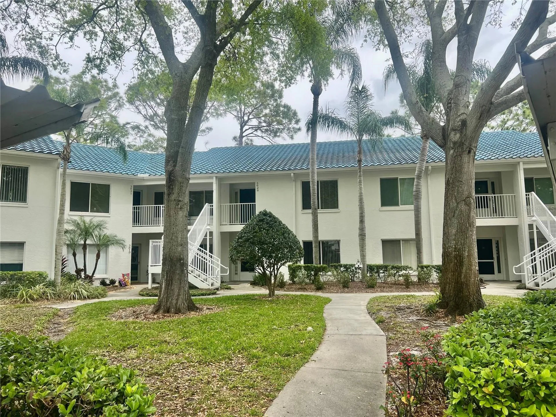 3629 Indigo Pond Drive Palm Harbor FL 34685