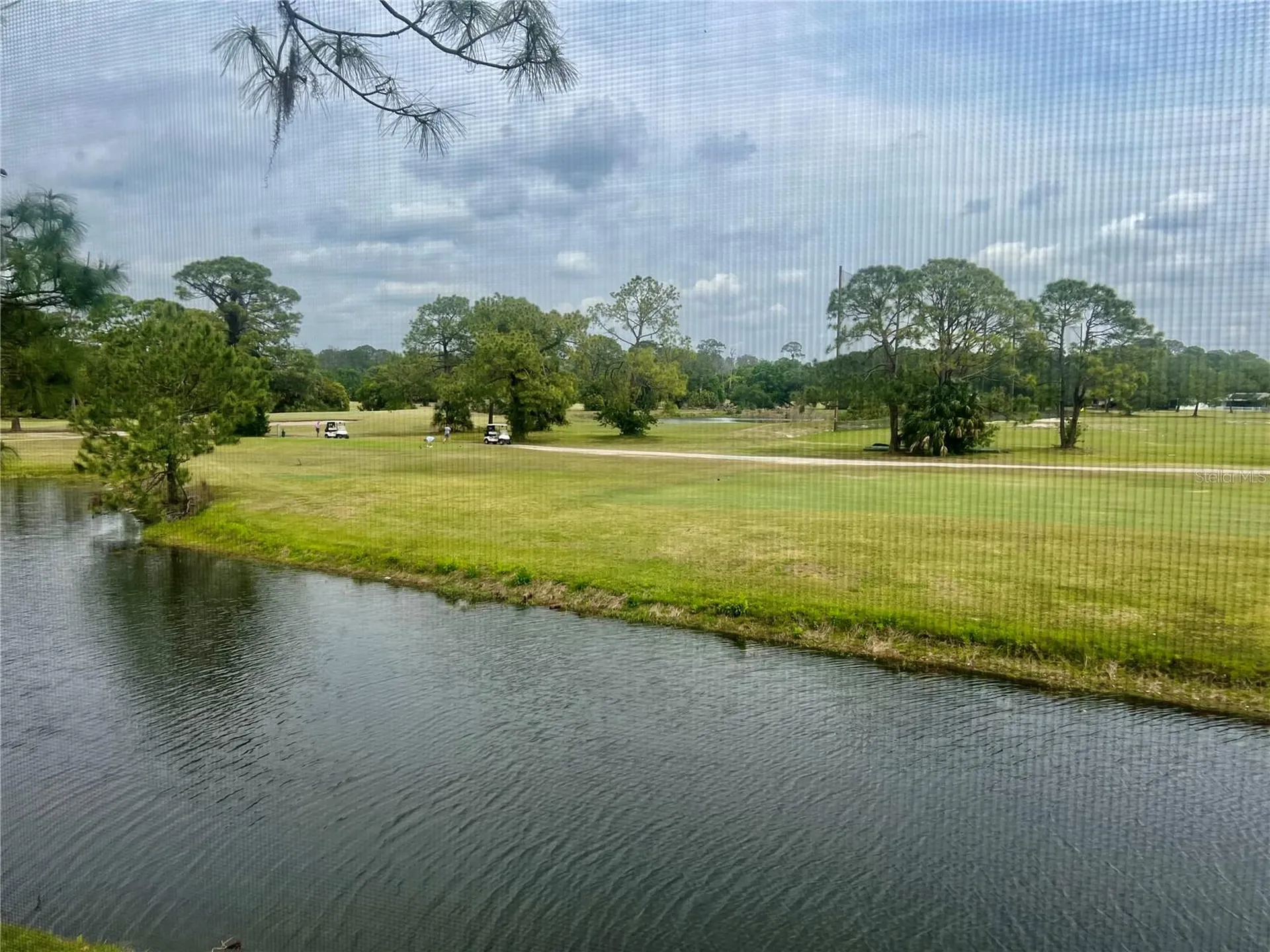3629 Indigo Pond Drive Palm Harbor FL 34685