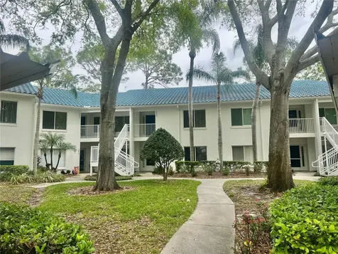 3629 Indigo Pond Drive Palm Harbor FL 34685