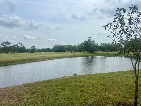3629 Indigo Pond Drive Palm Harbor FL 34685