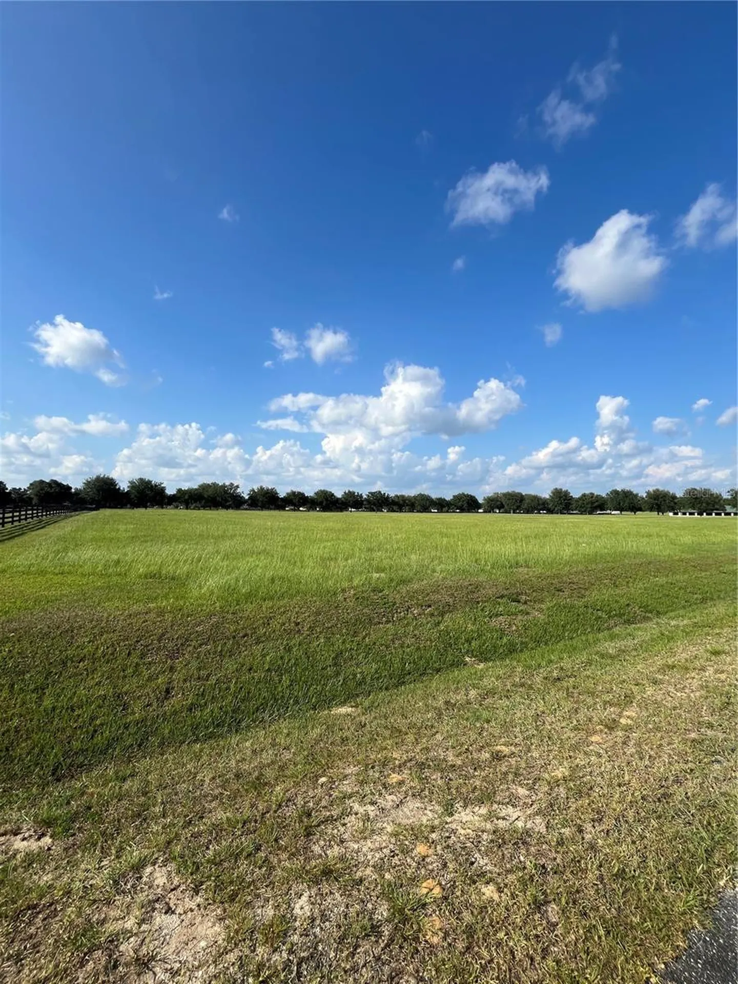 Tbd 54 Loop Ocala FL 34482