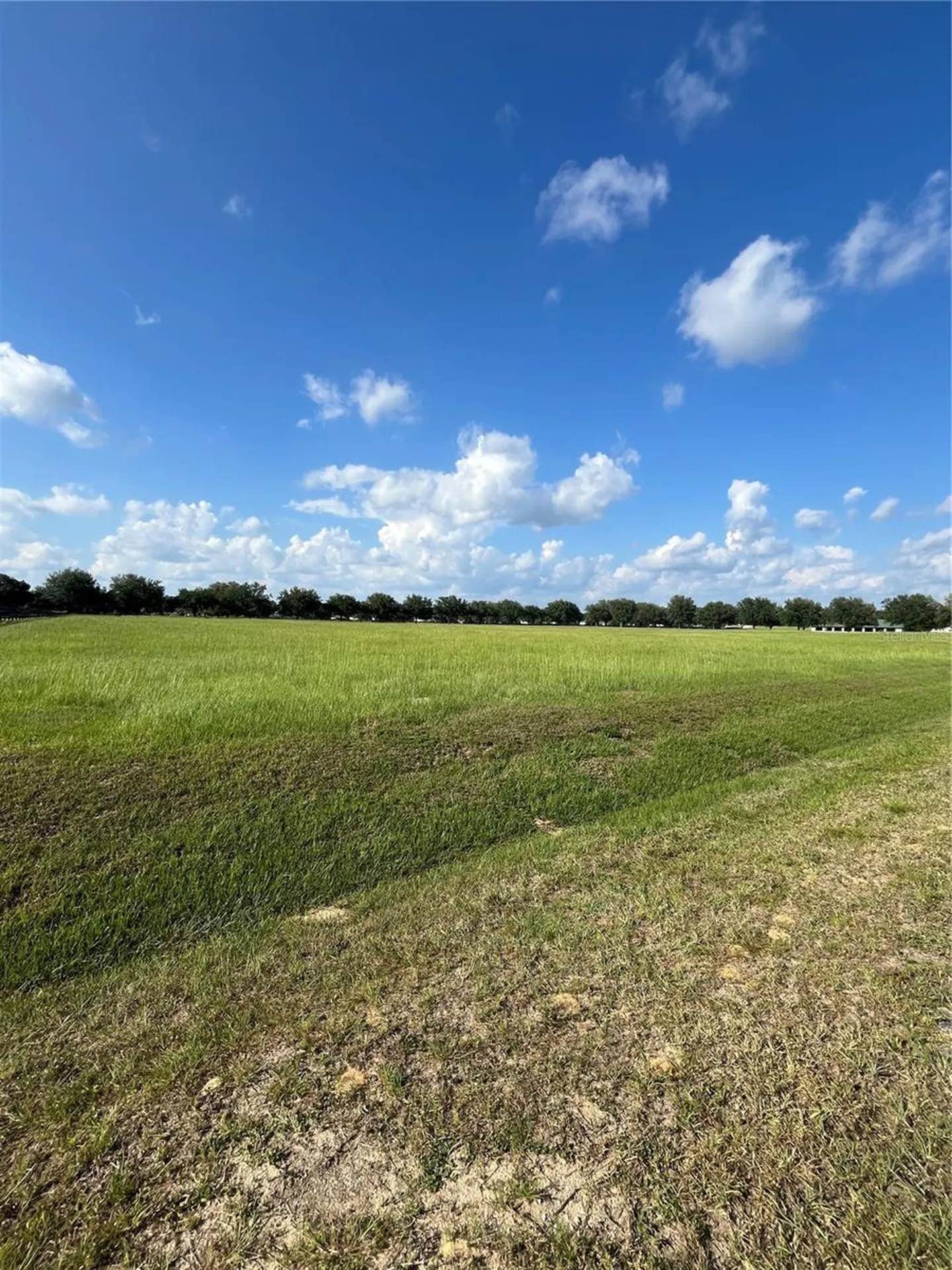 Tbd 54 Loop Ocala FL 34482