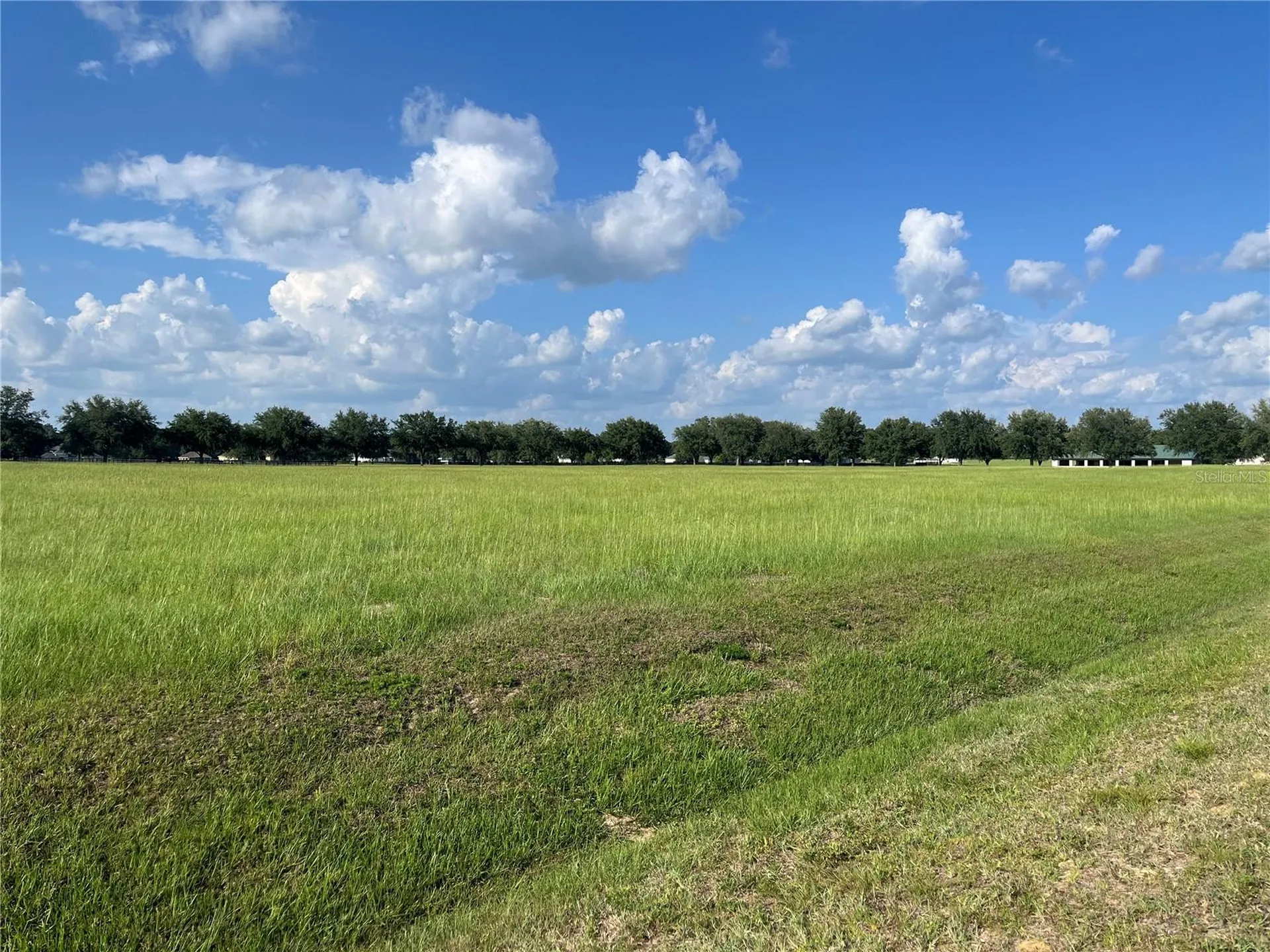 Tbd 54 Loop Ocala FL 34482