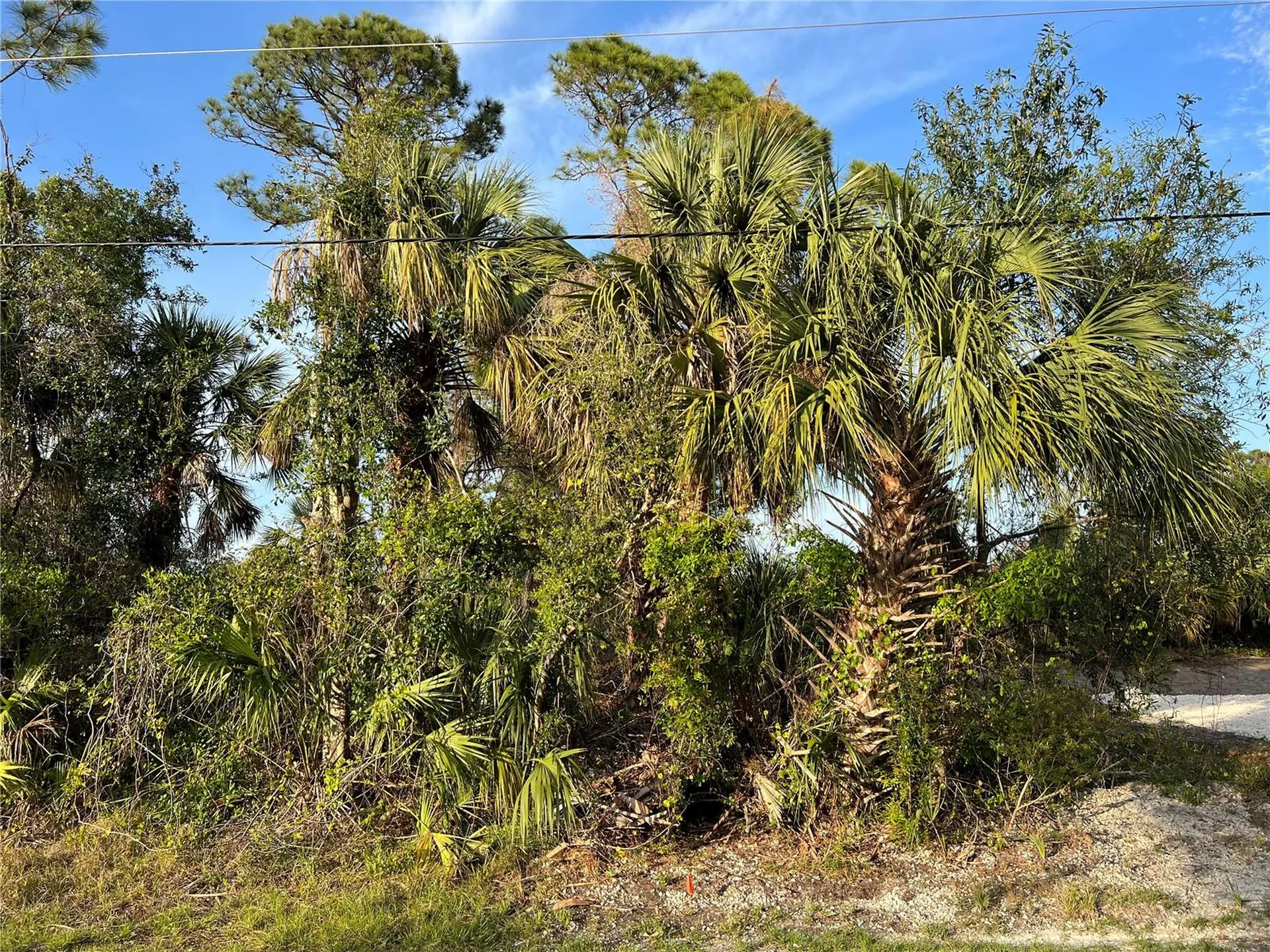 Sparkle Lane North Port FL 34286