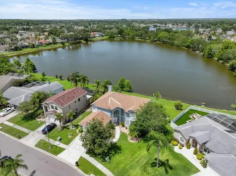 11519 Glenmont Drive Tampa FL 33635