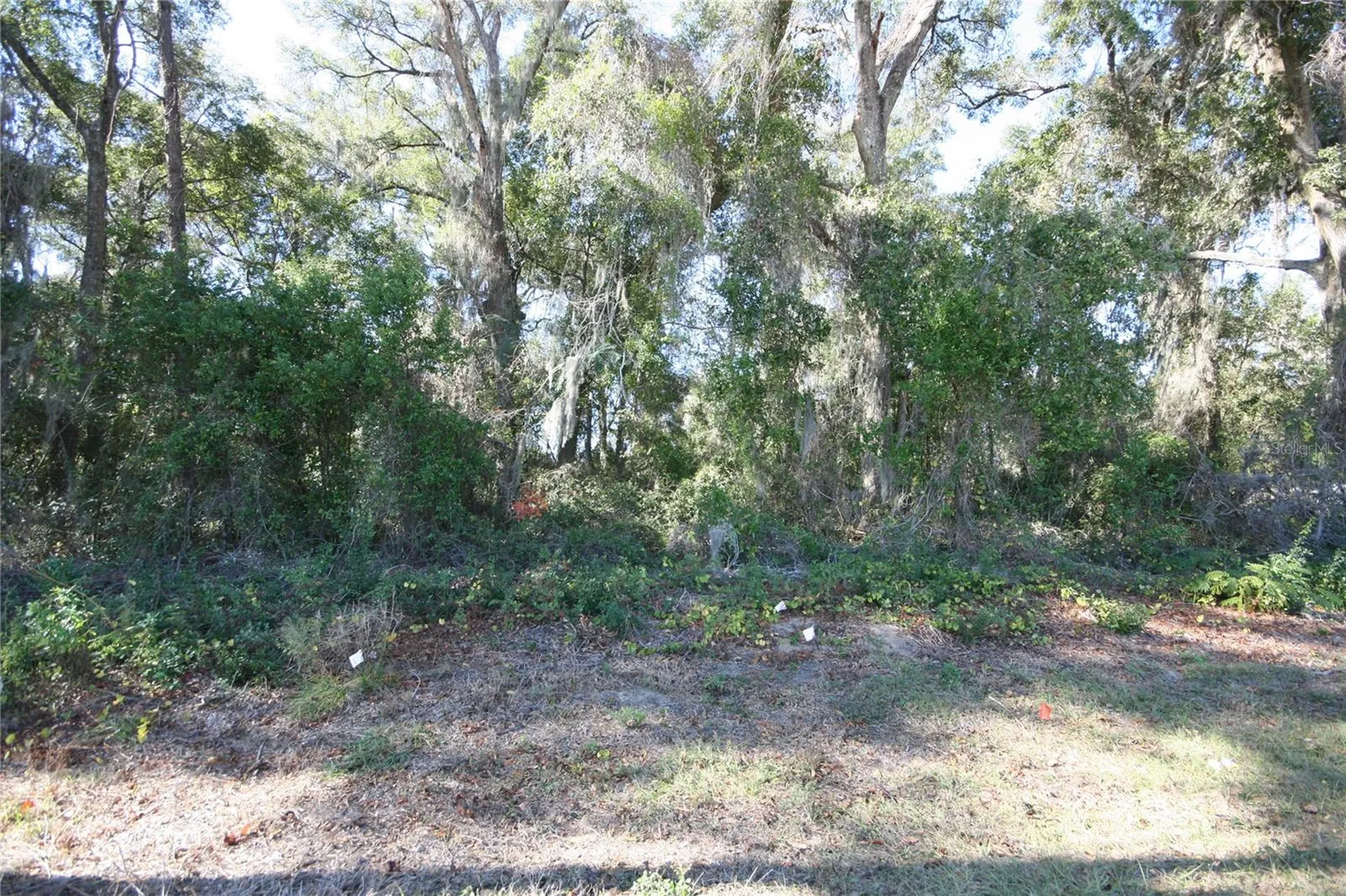 NE 36 Avenue Tbd Ocala FL 34474