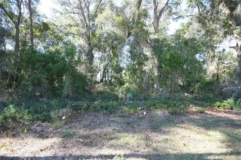 NE 36 Avenue Tbd Ocala FL 34474
