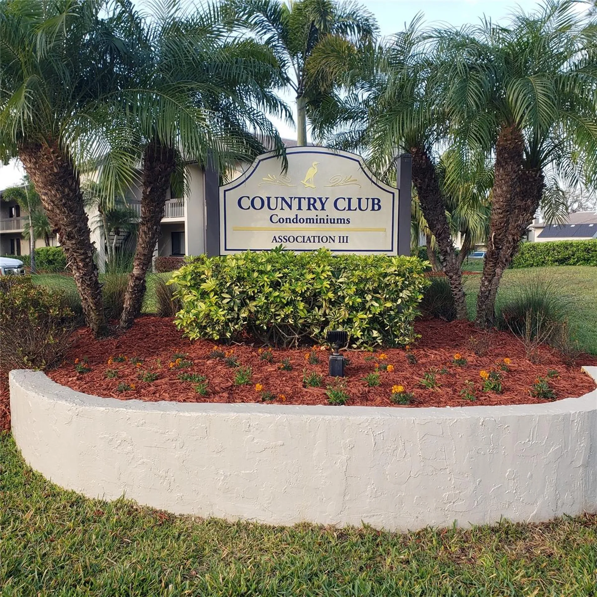 113 Nina Way Oldsmar FL 34677